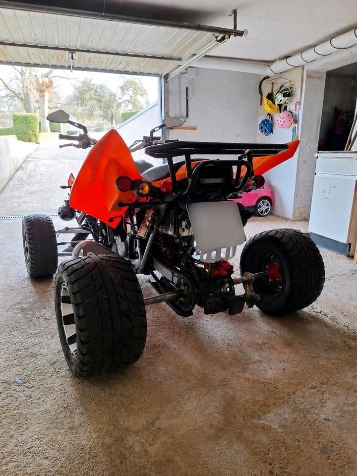 Weitere Motorräder Gelöscht • Quad Adly 500s LOF 2012 — вигляд ззаду
