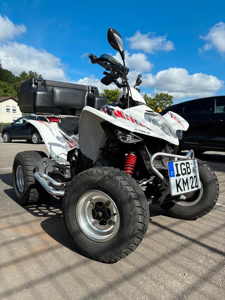 Kymco Gelöscht • Quad kymco maxxer 300 2011 — салон