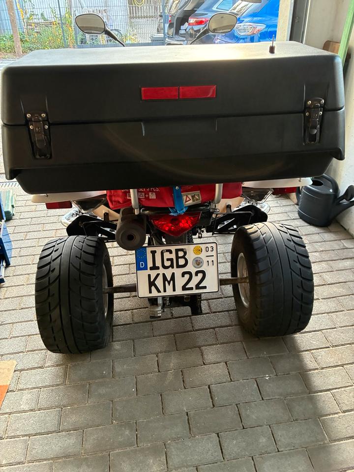 Kymco Gelöscht • Quad kymco maxxer 300 2011 — двигун 271 ccm