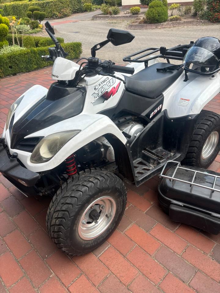 Kymco Quad kymco 2010 — photo 10