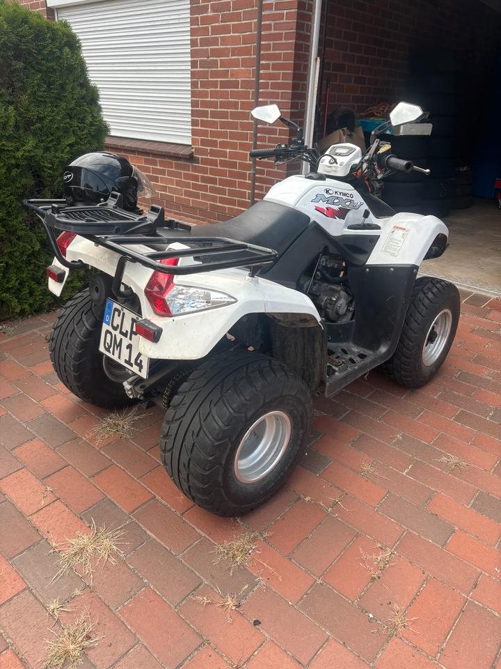 Kymco Quad kymco 2010 — rear view