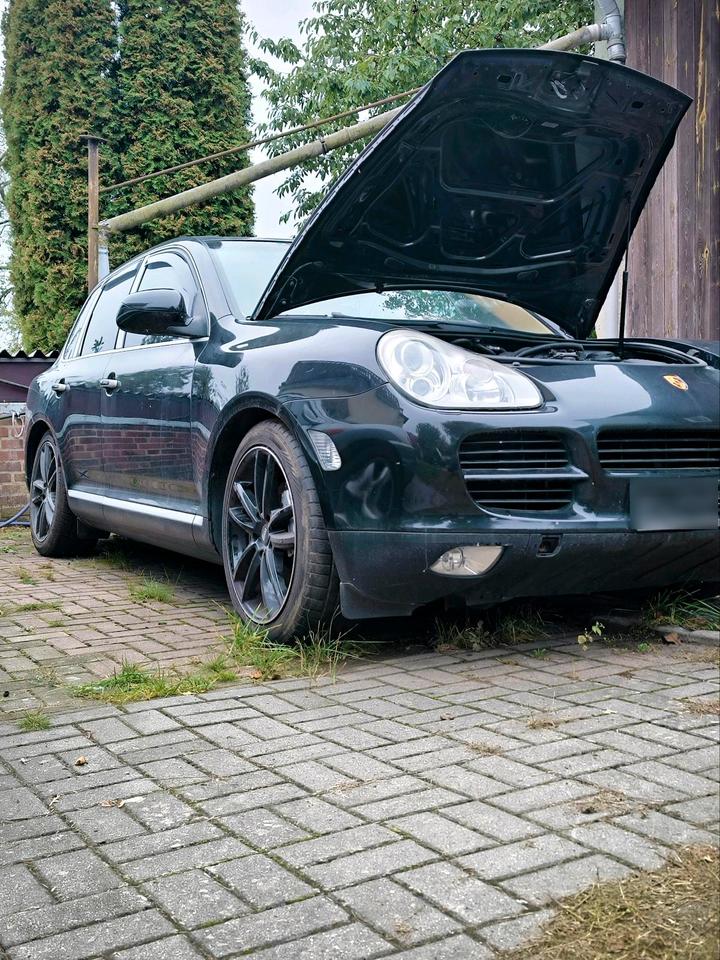 Porsche Cayenne 2005 — rear view