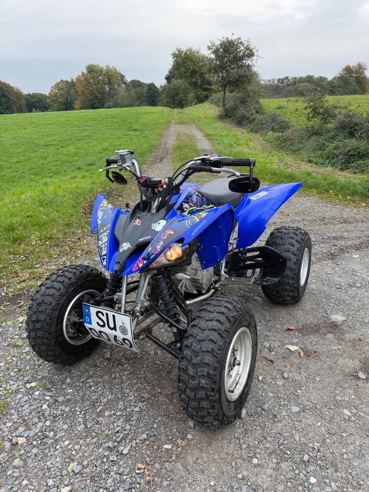 Yamaha YFM 250 Raptor 2014 — rear view