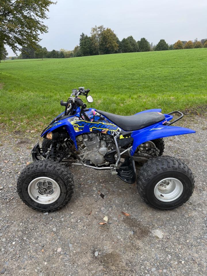 Yamaha YFM 250 Raptor 2014 — interior