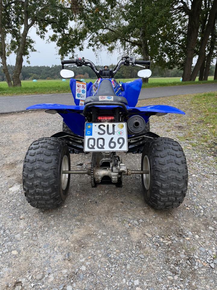 Yamaha YFM 250 Raptor 2014 — engine 250 ccm