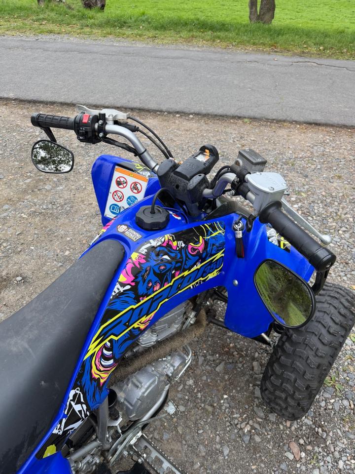 Yamaha YFM 250 Raptor 2014 — photo 6