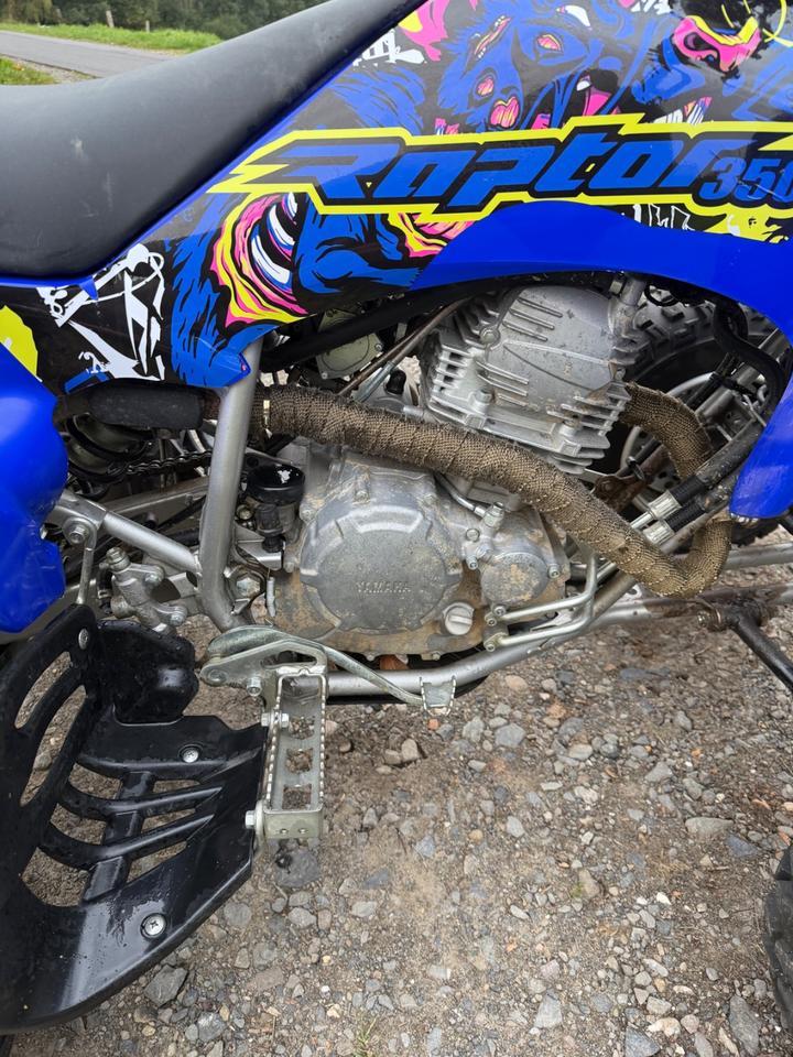 Yamaha YFM 250 Raptor 2014 — photo 7