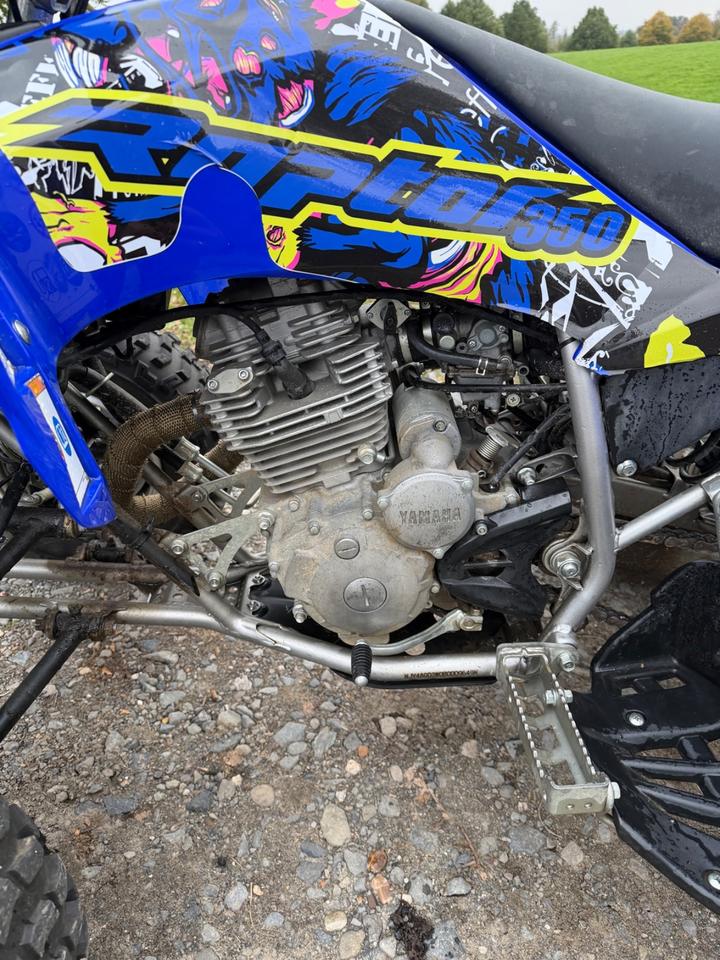 Yamaha YFM 250 Raptor 2014 — photo 8