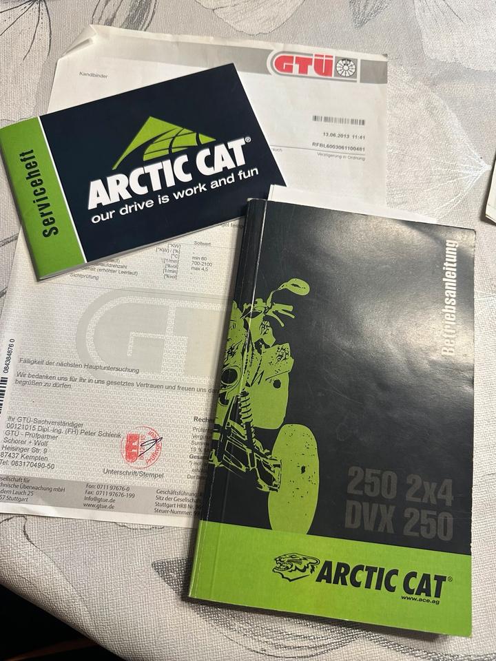 Kymco Gelöscht • Quad ARCTIC CAT 250ccm 2006 — photo 12
