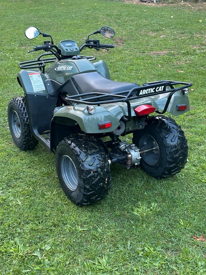 Kymco Gelöscht • Quad ARCTIC CAT 250ccm 2006 — rear view