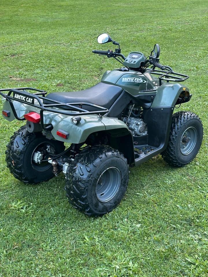 Kymco Gelöscht • Quad ARCTIC CAT 250ccm 2006 — interior