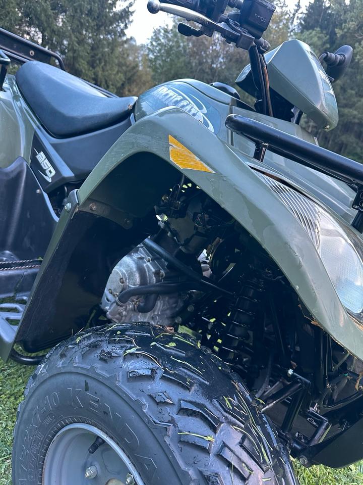Kymco Gelöscht • Quad ARCTIC CAT 250ccm 2006 — engine 250 ccm