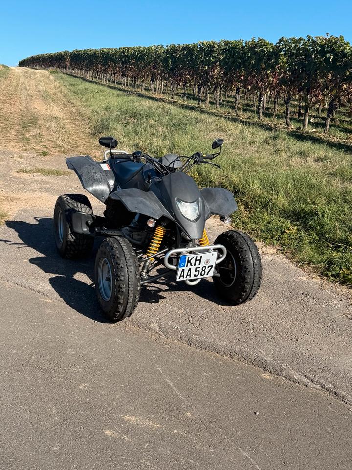 Weitere Motorräder Smc Titan 300 Quad TÜV04/2027, 2008