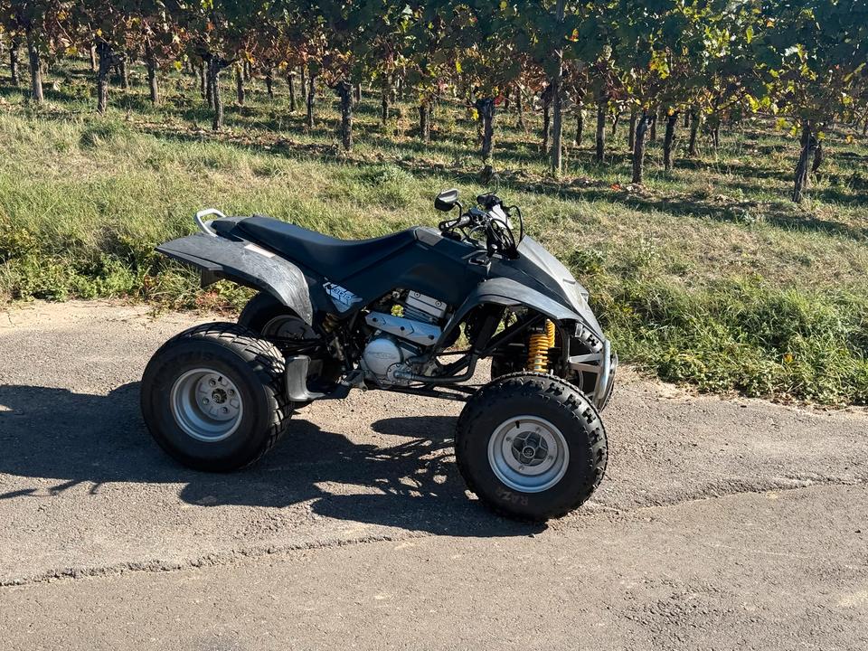 Weitere Motorräder Smc Titan 300 Quad TÜV04/2027 2008 — engine 270 ccm