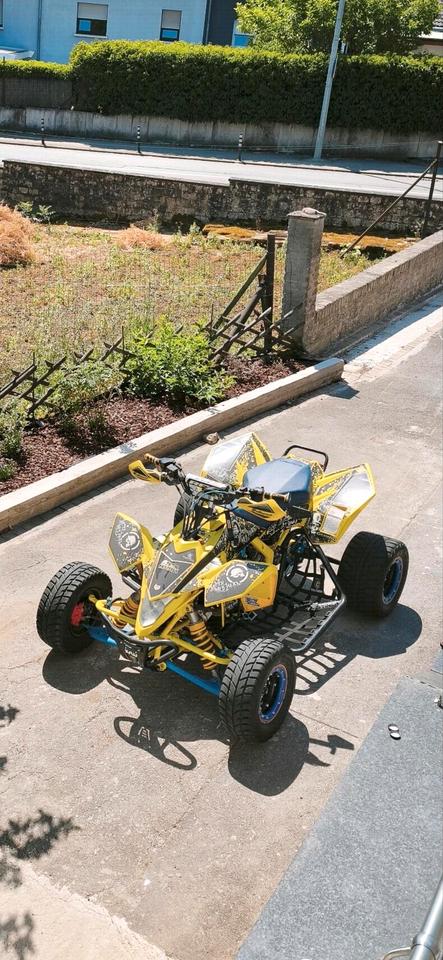 Suzuki LTR 450 – Bj. – Sehr guter Zustand – Tausch möglich 2008 — interior