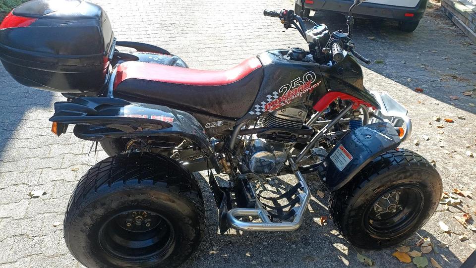  smc Quad Kreidler 2006 — photo 6