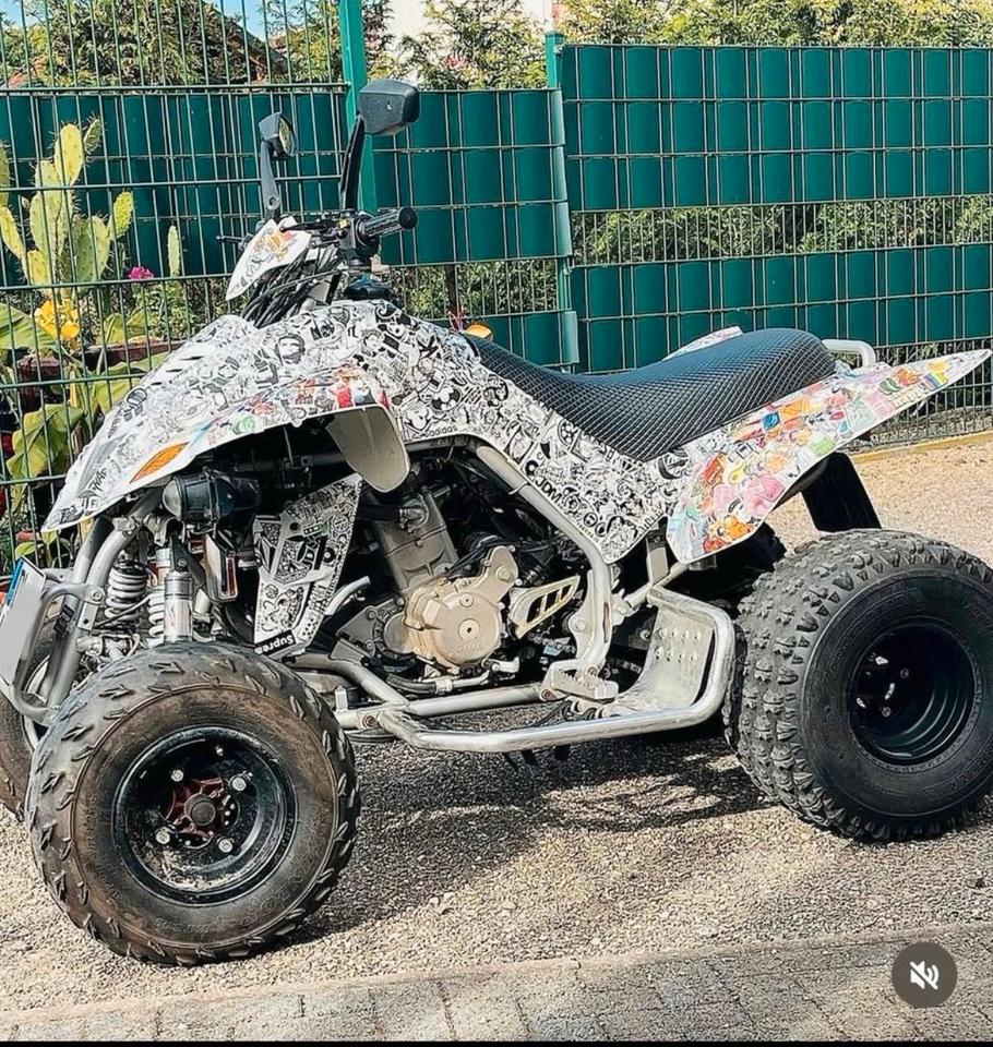 Weitere Motorräder Quad/ Dinli 450 i 2010 — авто для ЗСУ з Європи