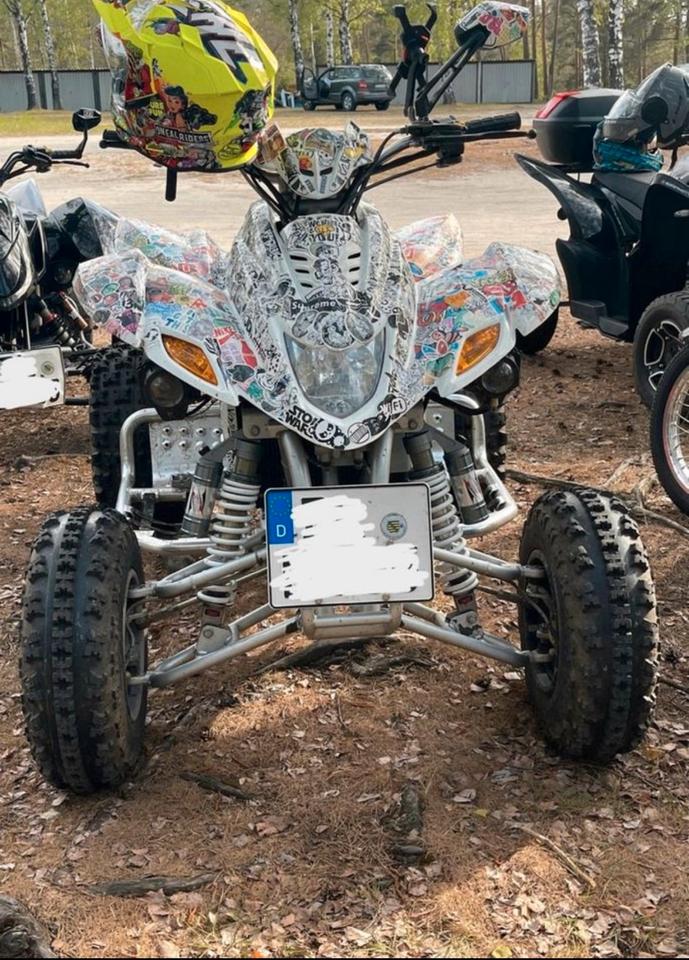 Weitere Motorräder Quad/ Dinli 450 i 2010 — вигляд ззаду