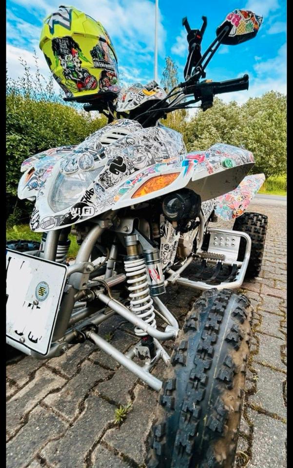 Weitere Motorräder Quad/ Dinli 450 i 2010 — салон