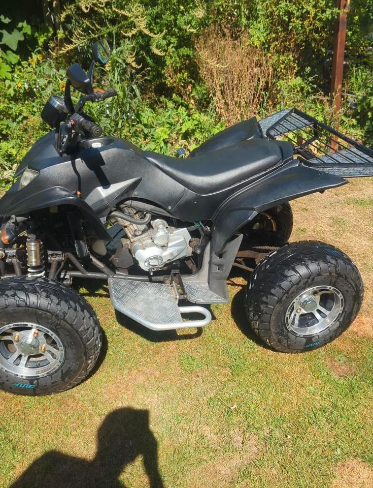  Quad 250ccm zu verkaufen TÜV neu 2009 — rear view