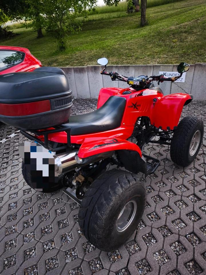  Quad ATV Motorrad 300cccm Adly Cross X road 2006 — rear view