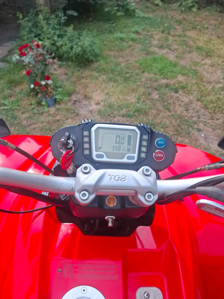 Weitere Motorräder TGB Target 550 IRS 4×4 2013 — вигляд ззаду