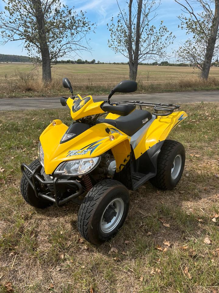 Weitere Motorräder ATV Quad 200ccm Automatik 2005 — rear view