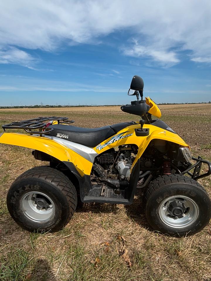 Weitere Motorräder ATV Quad 200ccm Automatik 2005 — interior