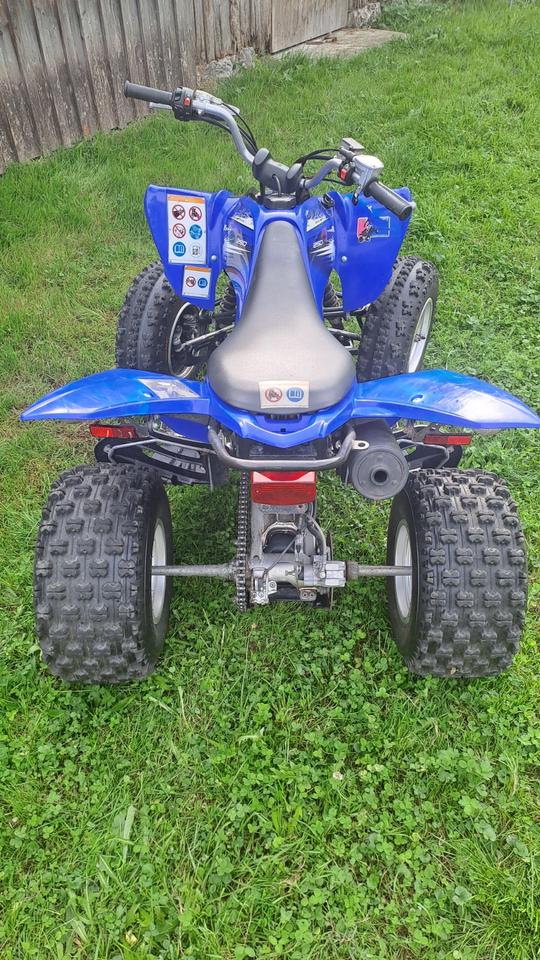 Yamaha Quad Yamaha yfm 250r 2013 — engine 250 ccm