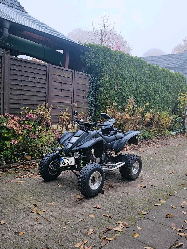 Kawasaki kfx 400 quad 2004 — rear view