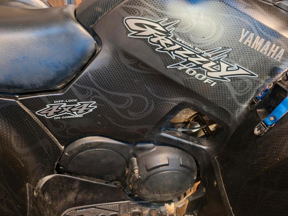 Yamaha Grizzly 700FI Spezial Edition 2009 — photo 15