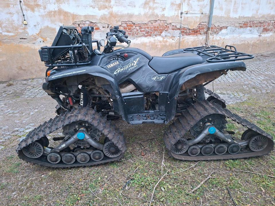 Yamaha Grizzly 700FI Spezial Edition 2009 — photo 5