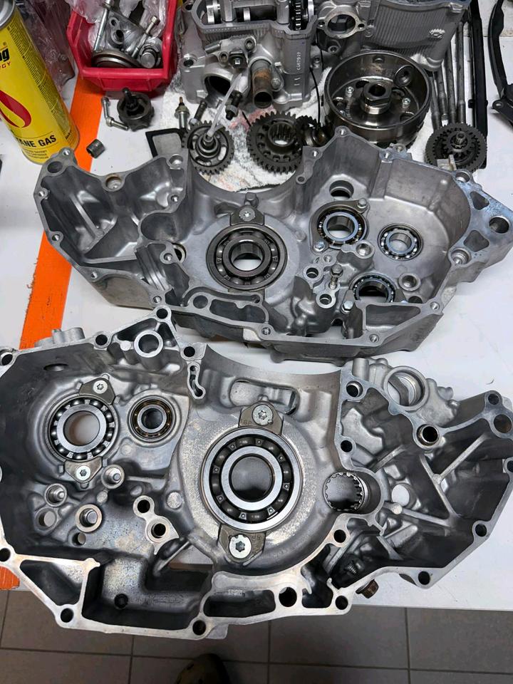 Yamaha yfz 450r pep elka RP lonestar racing 2009 — photo 7