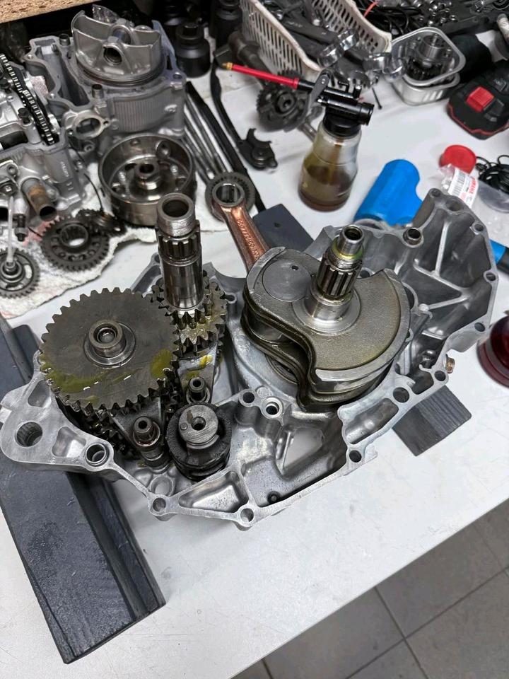 Yamaha yfz 450r pep elka RP lonestar racing 2009 — photo 8