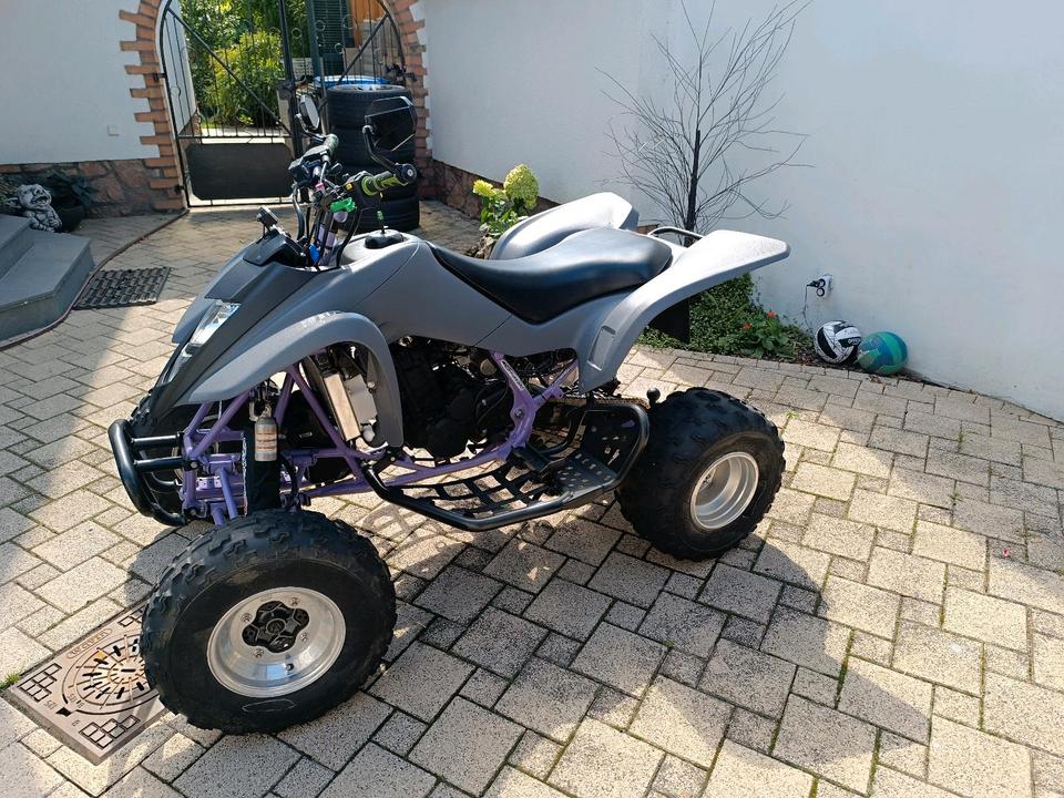 Kawasaki Kfx 400 Neuaufbau Ltz 400 (Baugleich) 2004 — rear view