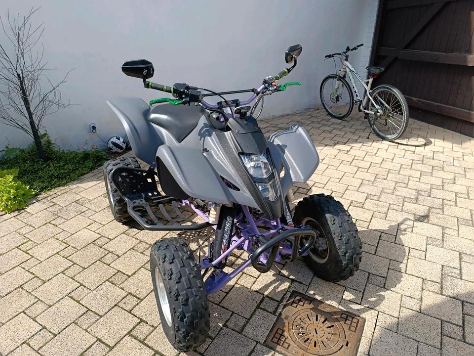 Kawasaki Kfx 400 Neuaufbau Ltz 400 (Baugleich) 2004 — interior