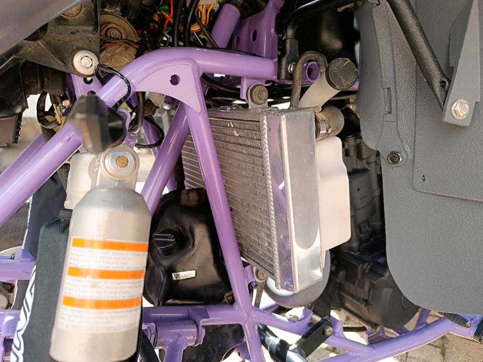 Kawasaki Kfx 400 Neuaufbau Ltz 400 (Baugleich) 2004 — photo 6