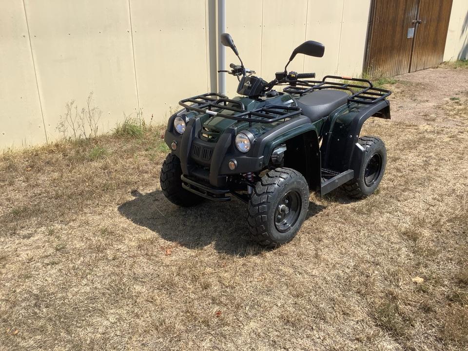 Weitere Motorräder Adly Supercross LC 50 xxl Quad 50er Strassenzulassung Herkules 2015 — rear view