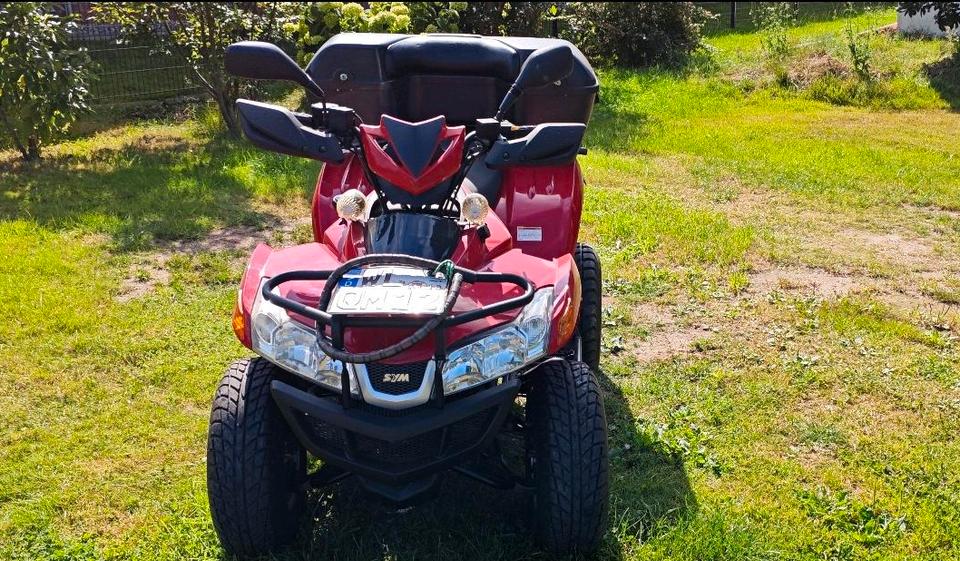  Sym Quad 251 ccm 2005 — photo 10
