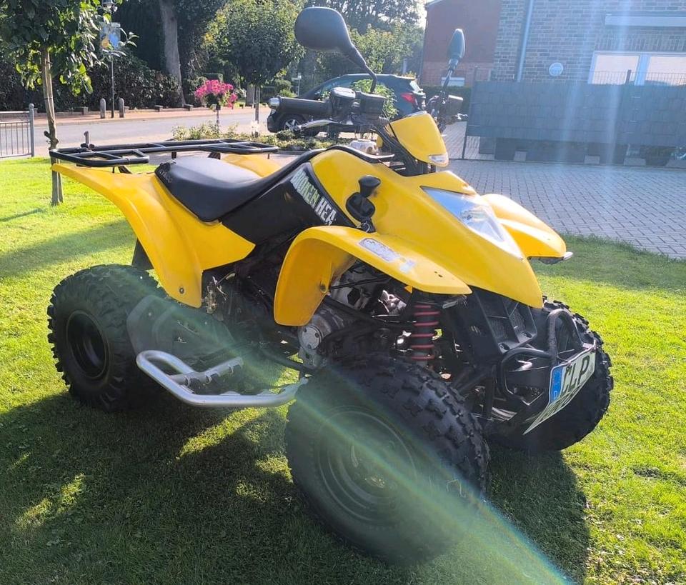 Kymco KXR 250 – gepflegt & fahrbereit 2006 — фото 15