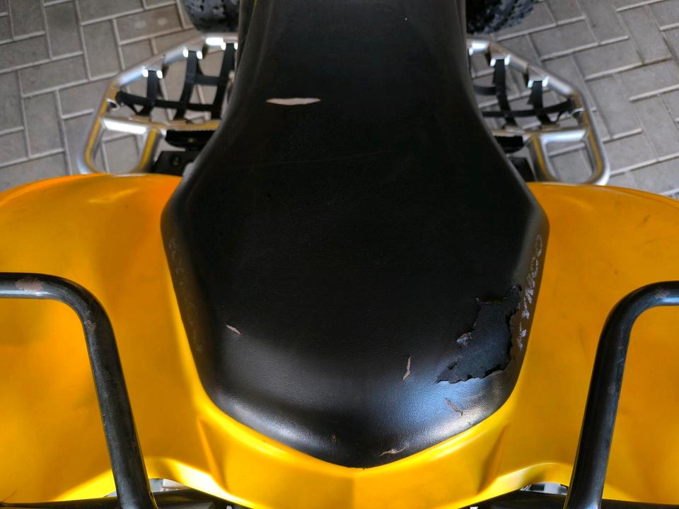 Kymco KXR 250 – gepflegt & fahrbereit 2006 — фото 17
