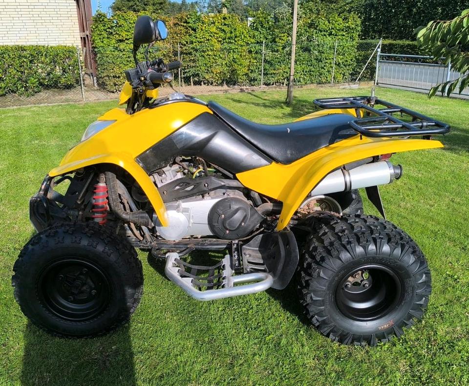 Kymco KXR 250 – gepflegt & fahrbereit 2006 — вигляд ззаду