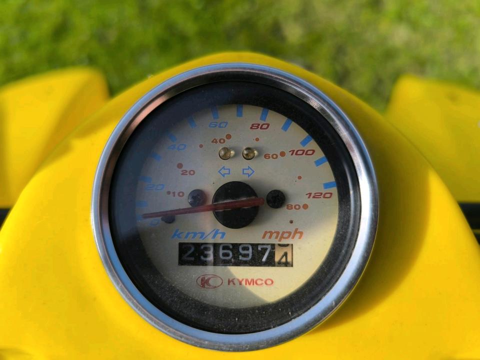 Kymco KXR 250 – gepflegt & fahrbereit 2006 — двигун 250 ccm
