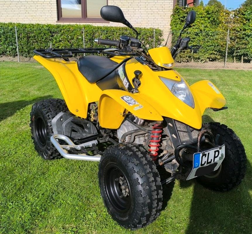 Kymco KXR 250 – gepflegt & fahrbereit 2006 — фото 6