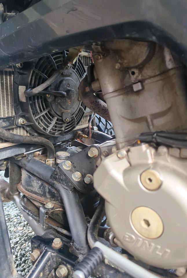 Weitere Motorräder Quad Dinli 2012 — photo 10