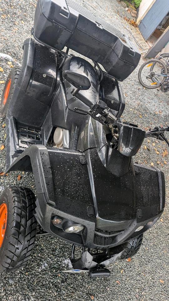 Weitere Motorräder Quad Dinli 2012 — rear view