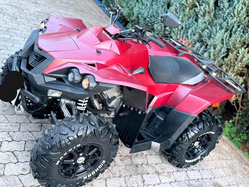 Weitere Motorräder Dinli Centhor 800 LOF 4x4 - TÜV Neu 2012 — interior