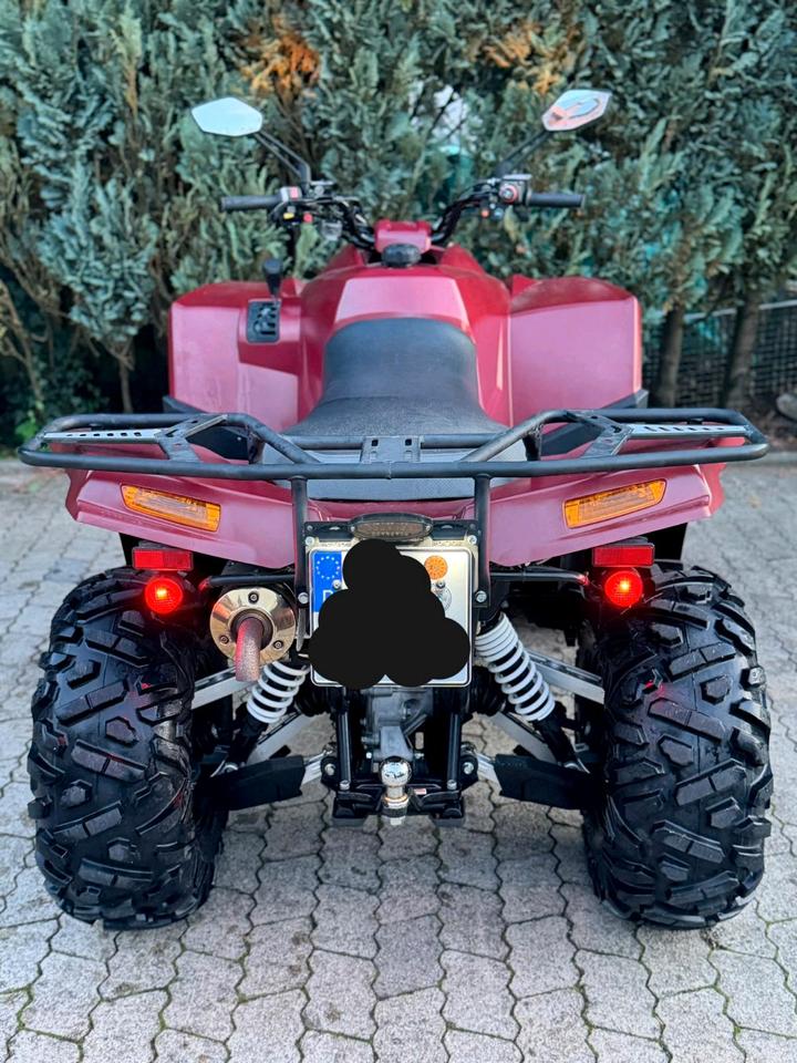 Weitere Motorräder Dinli Centhor 800 LOF 4x4 - TÜV Neu 2012 — photo 5