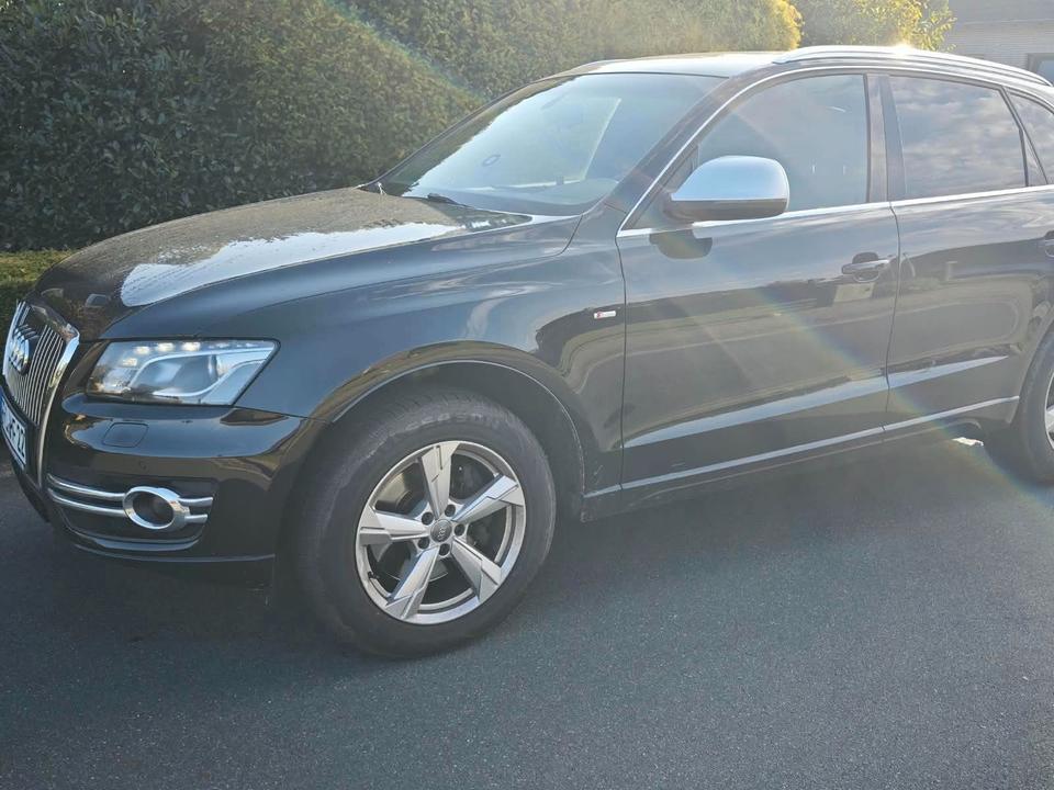 Audi Q5 2009 — rear view