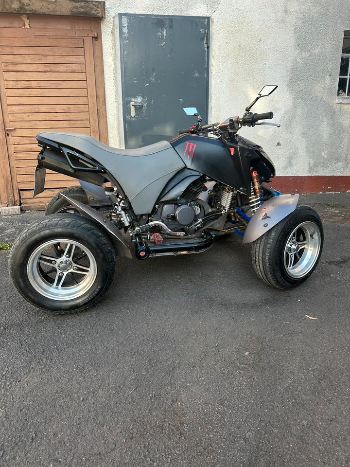 Weitere Motorräder Quad Bashan bs 300 S 2009 — rear view